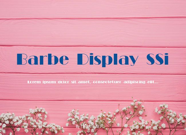 Barbe Display SSi example